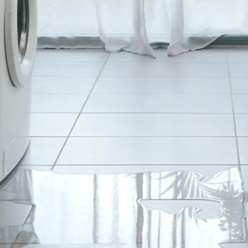 Appliance Leak Cleanup in Girard, IL