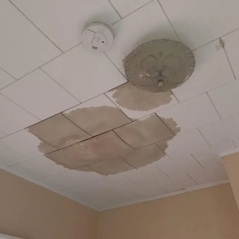 Ceiling Water Damage Repair in Girard, IL