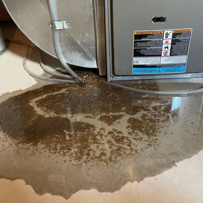 Pipe Burst and Leak Restoration in Girard, IL