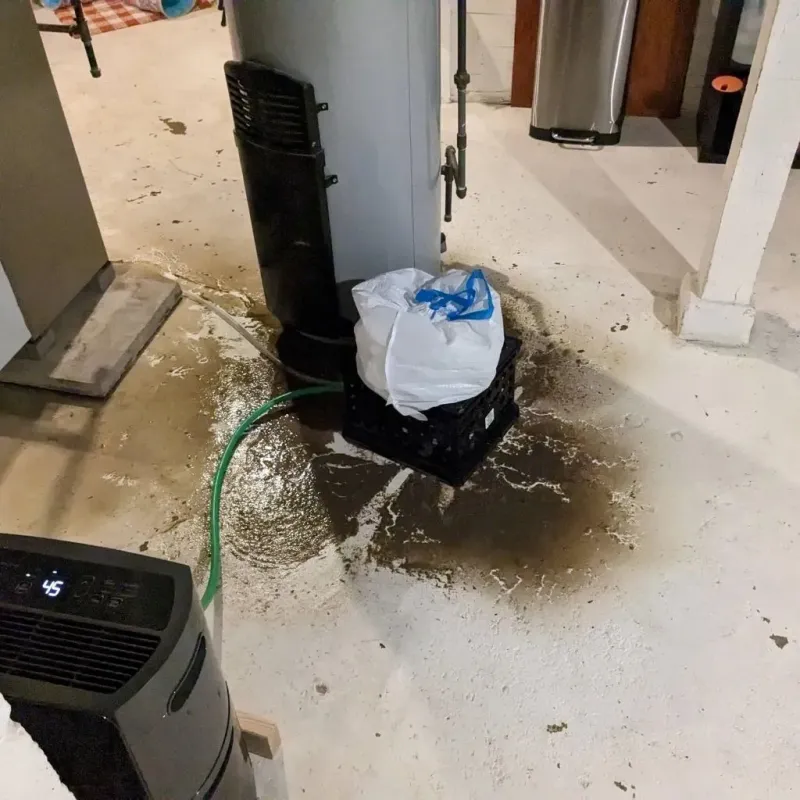 Sewage Backup Cleanup Service in Girard, IL